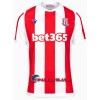 Virallinen Fanipaita Stoke City Kotipelipaita 2021-22 - Miesten